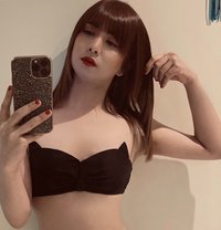 Fogus - Acompañantes transexual in Al Manama