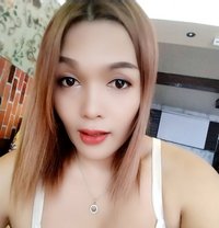 Fongbeer - Acompañantes transexual in Hat Yai