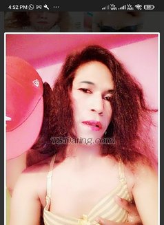 For Hot Guys - Transsexual escort in Bangalore Photo 11 of 11
