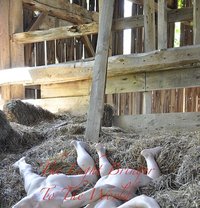 For Men Who Miss Closeness - escort in London