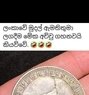 For Phone Sex - Male escort in Colombo Photo 1 of 1