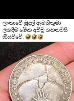 For Phone Sex - Male escort in Colombo Photo 1 of 1
