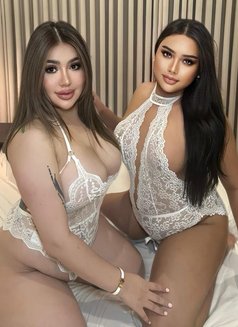 Four hands lady and ladyboy - Acompañantes transexual in Riyadh Photo 3 of 12