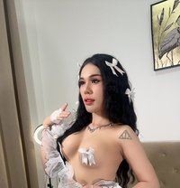 Four Ladyboys, group sex, Marina - Transsexual escort in Dubai