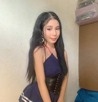 Foxiclaw - Transsexual escort in Cebu City