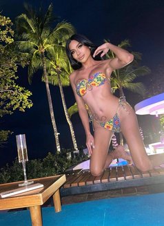 Framiiz - Transsexual escort in Bangkok Photo 1 of 10