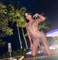 Framiiz - Transsexual escort in Bangkok