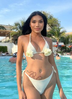 Framiiz - Transsexual escort in Bangkok Photo 5 of 10