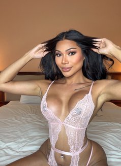 Framiiz - Transsexual escort in Ko Samui Photo 11 of 11