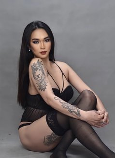 Francine Imperial - Acompañantes transexual in Manila Photo 1 of 14