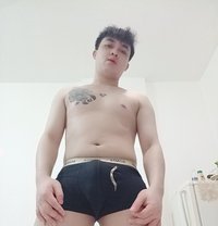 Frank Koh Samui - Acompañantes transexual in Ko Samui