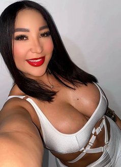 Franka - escort in Paris Photo 2 of 3