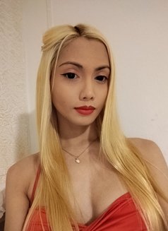 Franz-#Classic Vaginal Sex#Fuck and BJ - escort in Phuket Photo 4 of 4