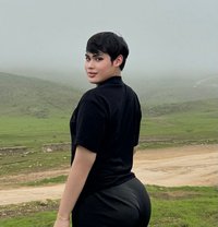 Frappe Sll - Transsexual escort in Şalālah