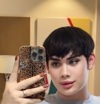 Frappe Sll - Acompañantes transexual in Şalālah