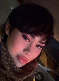 Frappe Sll - Transsexual escort in Şalālah Photo 7 of 8