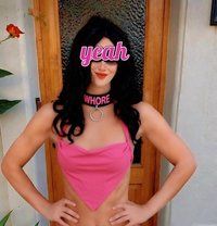 FREE Cums slut for Western Alpha - Masajista in Taipei