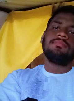 Free Free Free Free - Male escort in Surat Photo 1 of 1