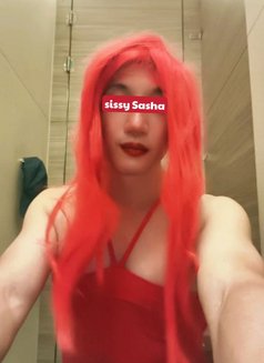 FREE sissy Cums slut for Western Alpha - masseuse in Taipei Photo 12 of 13