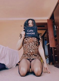 FREE sissy Cums slut for Western Alpha - masseuse in Taipei Photo 11 of 11