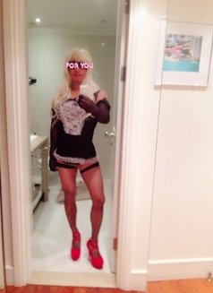 FREE Taiwan sissy slut for Western Daddy - Acompañantes transexual in Taipei Photo 12 of 13