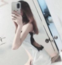 Freelanc - escort in Phuket