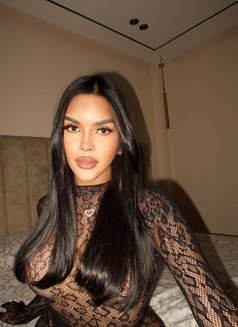 Fresh arrived — bold, sensual, allure - Acompañantes transexual in Phuket Photo 30 of 30
