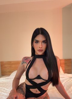 Fresh arrived — bold,sensual party,gfe - Transsexual escort in Bangkok Photo 5 of 20