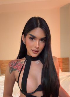 Fresh arrived — bold,sensual party,gfe - Transsexual escort in Bangkok Photo 1 of 20
