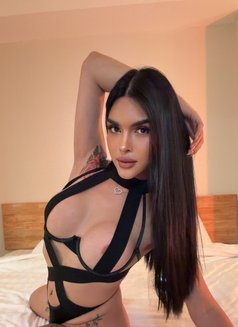 Fresh arrived — bold,sensual party,gfe - Transsexual escort in Bangkok Photo 2 of 20