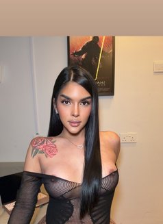 Fresh arrived — bold,sensual party,gfe - Transsexual escort in Bangkok Photo 8 of 20