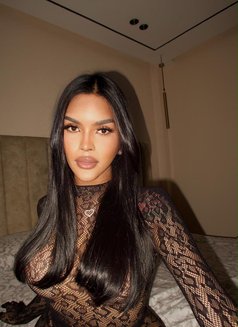 Fresh arrived — bold,sensual party,gfe - Transsexual escort in Bangkok Photo 17 of 20