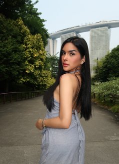 Fresh arrived — bold,sensual party,gfe - Transsexual escort in Bangkok Photo 20 of 20