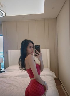 Fresh Ladyboy Gelai - Transsexual escort in Dubai Photo 21 of 21
