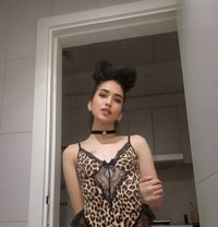 Fresh Ladyboy Gelai - Transsexual escort in Dubai