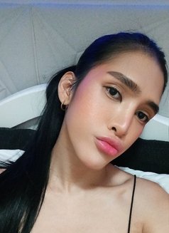 Fresh Ladyboy Gelai - Acompañantes transexual in Dubai Photo 9 of 10