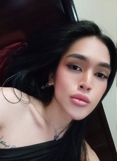 Fresh Ladyboy Gelai - Transsexual escort in Dubai Photo 12 of 17