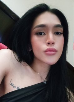 Fresh Ladyboy Gelai - Transsexual escort in Dubai Photo 13 of 17