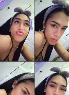 Fresh Ladyboy Gelai - Acompañantes transexual in Dubai Photo 9 of 14