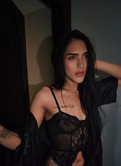 Fresh Ladyboy Gelai - Transsexual escort in Dubai Photo 23 of 25
