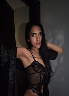 Fresh Ladyboy Gelai - Transsexual escort in Dubai Photo 24 of 25