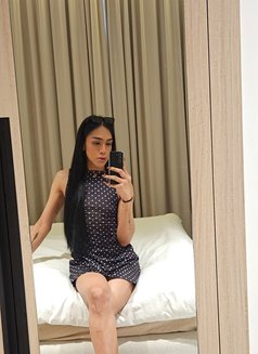 Fresh Ladyboy Gelai - Transsexual escort in Dubai Photo 26 of 26