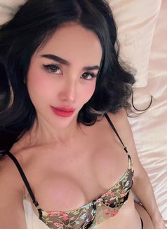 Fresh&petite TS arabella - Acompañantes transexual in Bangkok Photo 30 of 30