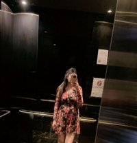 Freshly Arrived Models Direct Payment - puta in Chennai