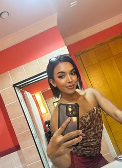 Freshy - Transsexual escort in Abu Dhabi Photo 10 of 14
