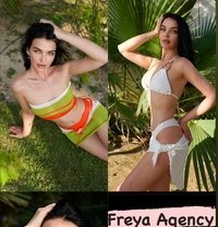 Freya Models - Agencia de putas in Dubai Photo 12 of 12