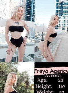 Freya Models - Agencia de putas in Dubai Photo 15 of 16