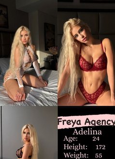 Freya Models - Agencia de putas in Dubai Photo 14 of 15