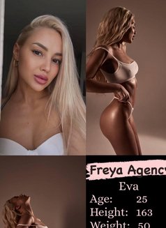 Freya Models - escort agency in Dubai Photo 14 of 22