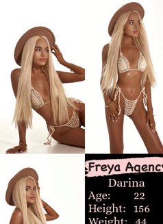 Freya Models - Agencia de putas in Dubai Photo 17 of 17